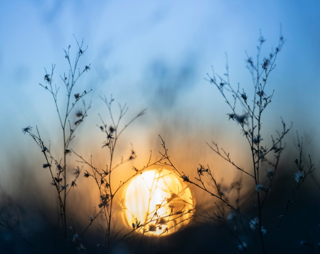 Fotografía del amanecer en lunes azul