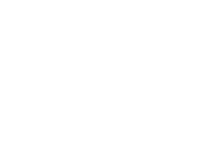 Flamenco drone service